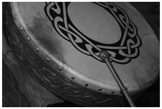 A bodhran drum. A flatter drum than a snare.