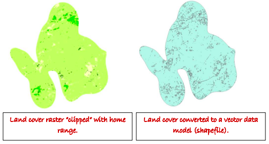 Land cover examples: clipped and shapefile
