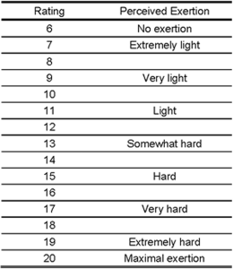 Borg Scale