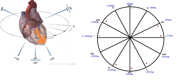 QRS axis