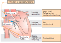 Calcium channel blockers