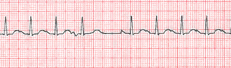 Fig 25 practice