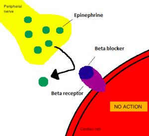 Beta blockers