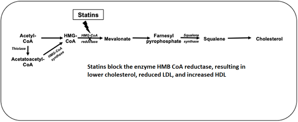 Statins