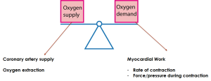 Oxygen supply vs demand