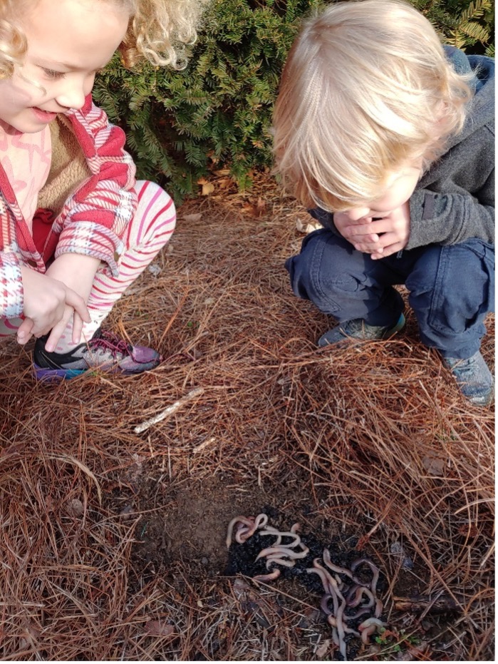 Two young children crouch and look at worms in the a hole in the ground.